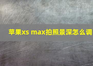 苹果xs max拍照景深怎么调